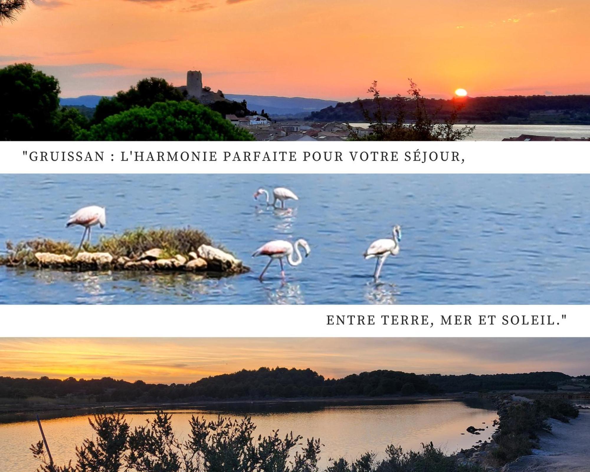 - L'Horizon Bleu - Cocon Romantique Avec Vue Mer Panoramique Gruissan Exterior foto